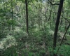 3372 Dinkenberger Road, Kingwood, West Virginia 26537, ,Lots/land,For Sale,Dinkenberger,10158052