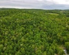 3372 Dinkenberger Road, Kingwood, West Virginia 26537, ,Lots/land,For Sale,Dinkenberger,10158052