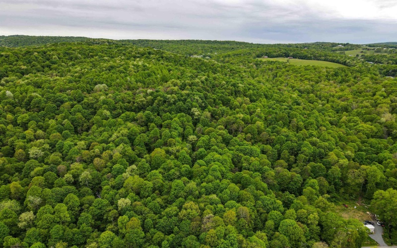 3372 Dinkenberger Road, Kingwood, West Virginia 26537, ,Lots/land,For Sale,Dinkenberger,10158052
