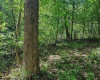 3372 Dinkenberger Road, Kingwood, West Virginia 26537, ,Lots/land,For Sale,Dinkenberger,10158052