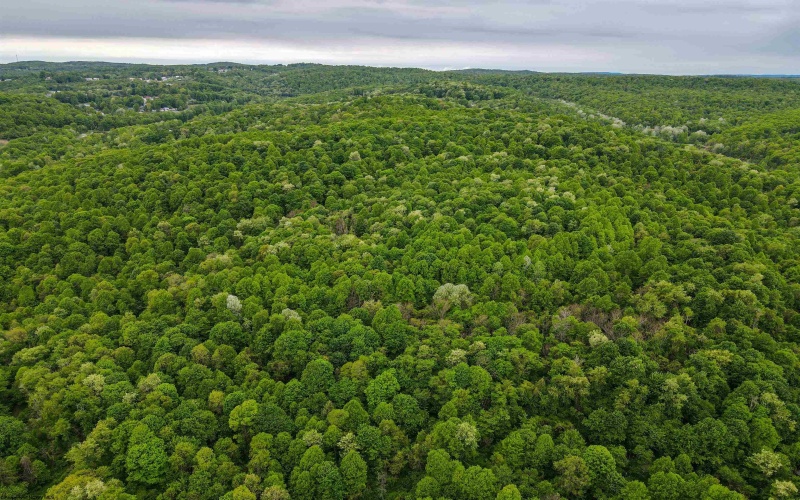 3372 Dinkenberger Road, Kingwood, West Virginia 26537, ,Lots/land,For Sale,Dinkenberger,10158052
