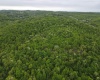 3372 Dinkenberger Road, Kingwood, West Virginia 26537, ,Lots/land,For Sale,Dinkenberger,10158052