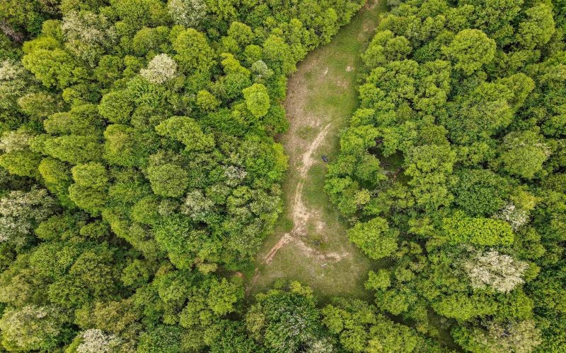 3372 Dinkenberger Road, Kingwood, West Virginia 26537, ,Lots/land,For Sale,Dinkenberger,10158052