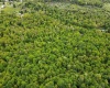 3372 Dinkenberger Road, Kingwood, West Virginia 26537, ,Lots/land,For Sale,Dinkenberger,10158052