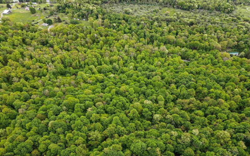 3372 Dinkenberger Road, Kingwood, West Virginia 26537, ,Lots/land,For Sale,Dinkenberger,10158052