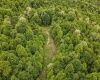 3372 Dinkenberger Road, Kingwood, West Virginia 26537, ,Lots/land,For Sale,Dinkenberger,10158052