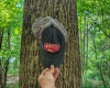 3372 Dinkenberger Road, Kingwood, West Virginia 26537, ,Lots/land,For Sale,Dinkenberger,10158052