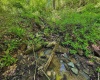 3372 Dinkenberger Road, Kingwood, West Virginia 26537, ,Lots/land,For Sale,Dinkenberger,10158052