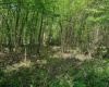 3372 Dinkenberger Road, Kingwood, West Virginia 26537, ,Lots/land,For Sale,Dinkenberger,10158052