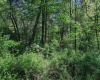 3372 Dinkenberger Road, Kingwood, West Virginia 26537, ,Lots/land,For Sale,Dinkenberger,10158052