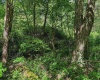 3372 Dinkenberger Road, Kingwood, West Virginia 26537, ,Lots/land,For Sale,Dinkenberger,10158052