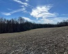 Lot 1 North Preston Highway, Bruceton Mills, West Virginia 26525, ,Lots/land,For Sale,North Preston,10158084