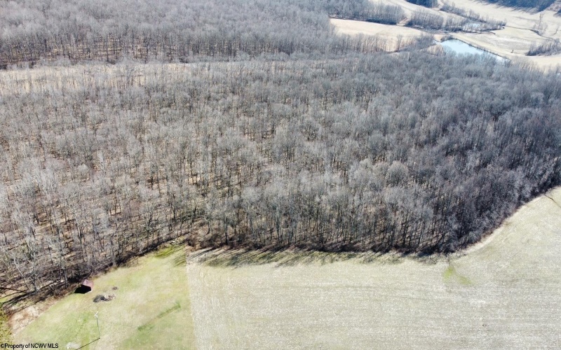 Lot 1 North Preston Highway, Bruceton Mills, West Virginia 26525, ,Lots/land,For Sale,North Preston,10158084