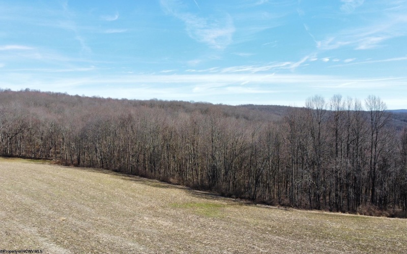 Lot 1 North Preston Highway, Bruceton Mills, West Virginia 26525, ,Lots/land,For Sale,North Preston,10158084