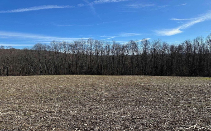 Lot 2 North Preston Highway, Bruceton Mills, West Virginia 26525, ,Lots/land,For Sale,North Preston,10158085