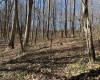 Lot 2 North Preston Highway, Bruceton Mills, West Virginia 26525, ,Lots/land,For Sale,North Preston,10158085