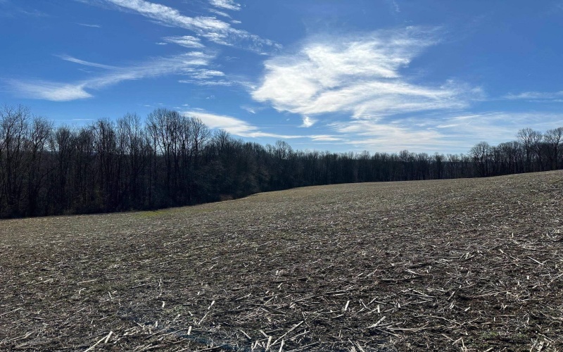 Lot 3 North Preston Highway, Bruceton Mills, West Virginia 26525, ,Lots/land,For Sale,North Preston,10158086