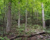 TBD Long Run Road, Belington, West Virginia 26591, ,Lots/land,For Sale,Long Run,10158094