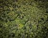TBD Long Run Road, Belington, West Virginia 26591, ,Lots/land,For Sale,Long Run,10158094