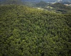 TBD Long Run Road, Belington, West Virginia 26591, ,Lots/land,For Sale,Long Run,10158094