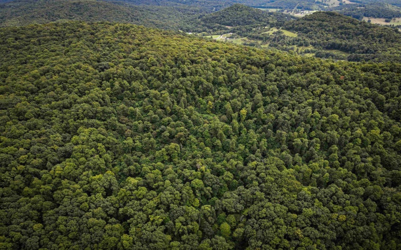 TBD Long Run Road, Belington, West Virginia 26591, ,Lots/land,For Sale,Long Run,10158094