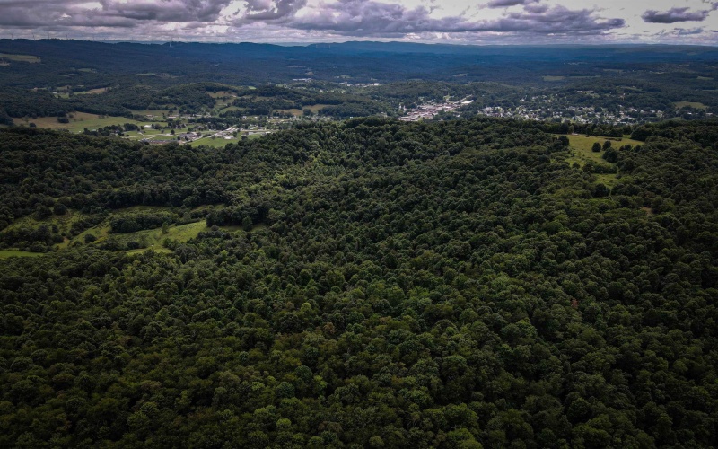TBD Long Run Road, Belington, West Virginia 26591, ,Lots/land,For Sale,Long Run,10158094