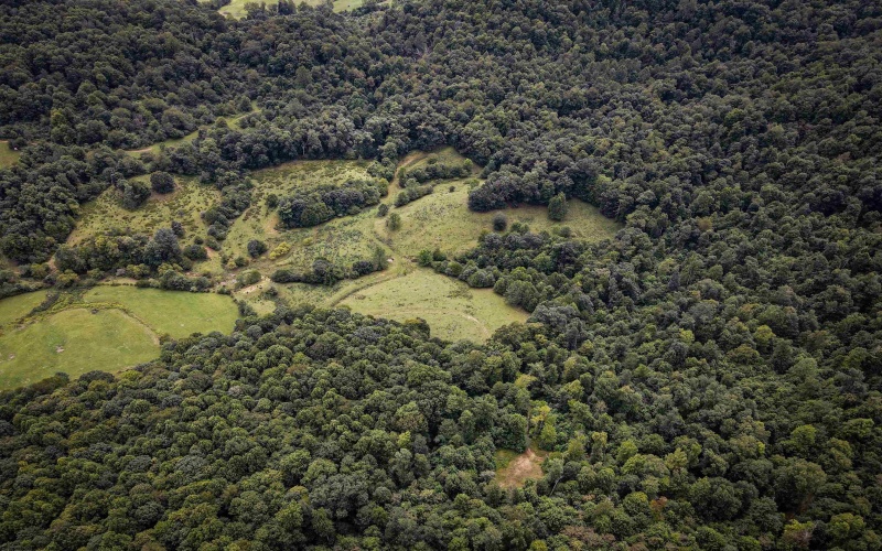 TBD Long Run Road, Belington, West Virginia 26591, ,Lots/land,For Sale,Long Run,10158094