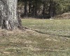 11 Tuggle Street, Buckhannon, West Virginia 26201, ,Lots/land,For Sale,Tuggle,10158108