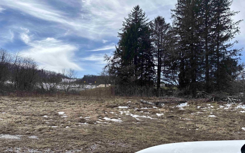 11 Tuggle Street, Buckhannon, West Virginia 26201, ,Lots/land,For Sale,Tuggle,10158108