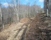 LOT A Heaston Ridge Road, Crawford, West Virginia 26343, ,Lots/land,For Sale,Heaston Ridge,10158119