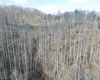 LOT A Heaston Ridge Road, Crawford, West Virginia 26343, ,Lots/land,For Sale,Heaston Ridge,10158119