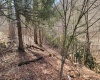 1711 Salt Lick Road, Rowlesburg, West Virginia 26425-00, ,Lots/land,For Sale,Salt Lick,10158131