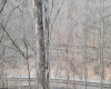 1711 Salt Lick Road, Rowlesburg, West Virginia 26425-00, ,Lots/land,For Sale,Salt Lick,10158131
