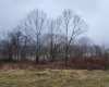 104, 105, & 106 TROLLEY Street, Fairmont, West Virginia 26554, ,Lots/land,For Sale,TROLLEY,10158135
