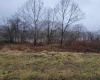 104, 105, & 106 TROLLEY Street, Fairmont, West Virginia 26554, ,Lots/land,For Sale,TROLLEY,10158135