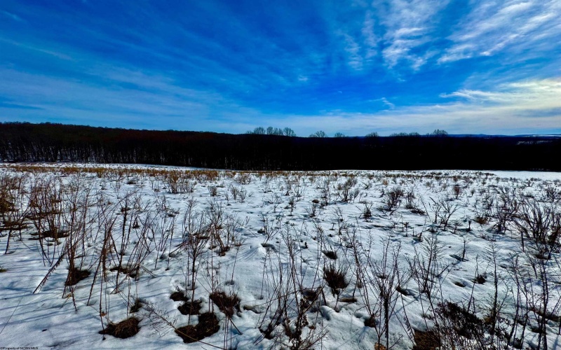 TBD C North Preston Highway Road, Bruceton Mills, West Virginia 26525, ,Lots/land,For Sale,North Preston Highway,10152941