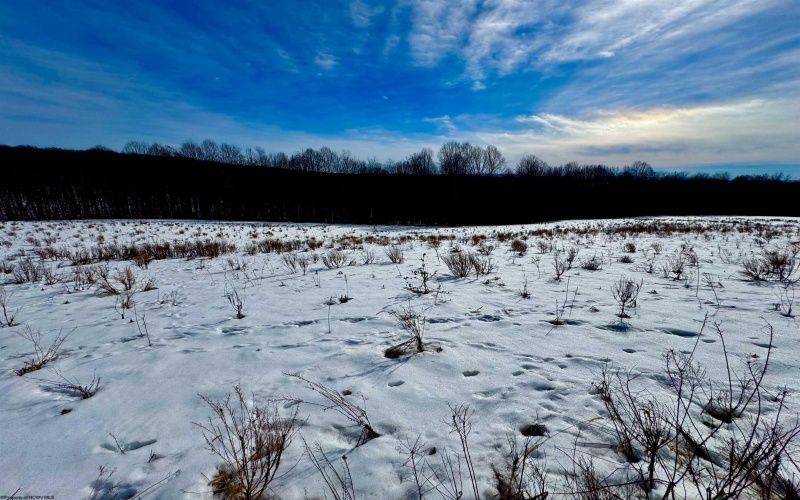 TBD A North Preston Highway Road, Bruceton Mills, West Virginia 26525, ,Lots/land,For Sale,North Preston Highway,10152943