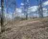 TBD Putnam Street, Buckhannon, West Virginia 26201, ,Lots/land,For Sale,Putnam,10158163
