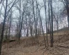 TBD Putnam Street, Buckhannon, West Virginia 26201, ,Lots/land,For Sale,Putnam,10158163
