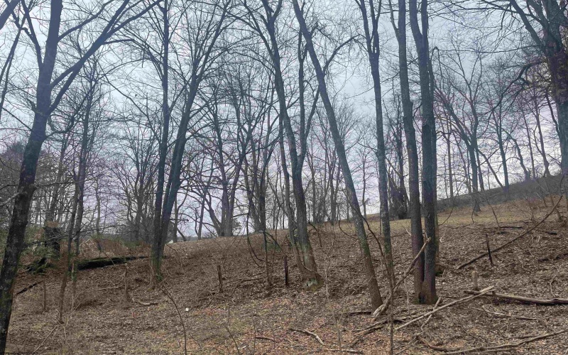 TBD Putnam Street, Buckhannon, West Virginia 26201, ,Lots/land,For Sale,Putnam,10158163