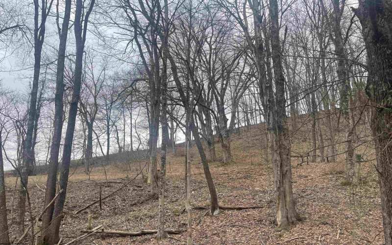 TBD Putnam Street, Buckhannon, West Virginia 26201, ,Lots/land,For Sale,Putnam,10158163