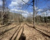 TBD Putnam Street, Buckhannon, West Virginia 26201, ,Lots/land,For Sale,Putnam,10158163