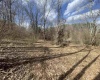 TBD Putnam Street, Buckhannon, West Virginia 26201, ,Lots/land,For Sale,Putnam,10158163