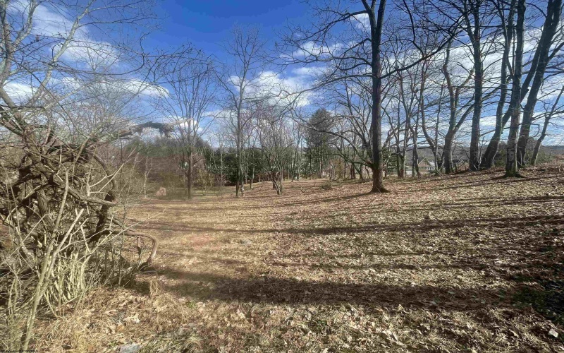 TBD Putnam Street, Buckhannon, West Virginia 26201, ,Lots/land,For Sale,Putnam,10158163