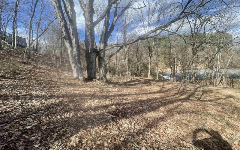 TBD Putnam Street, Buckhannon, West Virginia 26201, ,Lots/land,For Sale,Putnam,10158163