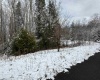 Lot 103 Canal Street, Davis, West Virginia 26260, ,Lots/land,For Sale,Canal,10158156