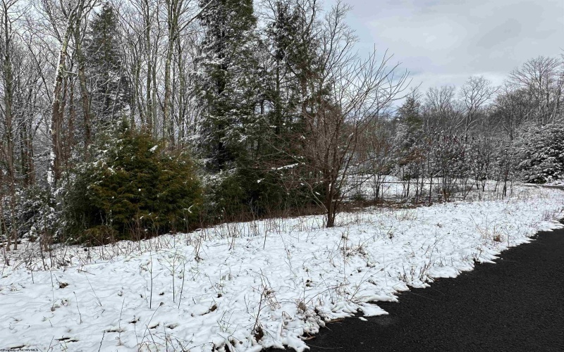 Lot 103 Canal Street, Davis, West Virginia 26260, ,Lots/land,For Sale,Canal,10158156