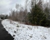 Lot 103 Canal Street, Davis, West Virginia 26260, ,Lots/land,For Sale,Canal,10158156
