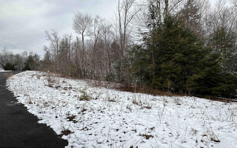 Lot 103 Canal Street, Davis, West Virginia 26260, ,Lots/land,For Sale,Canal,10158156
