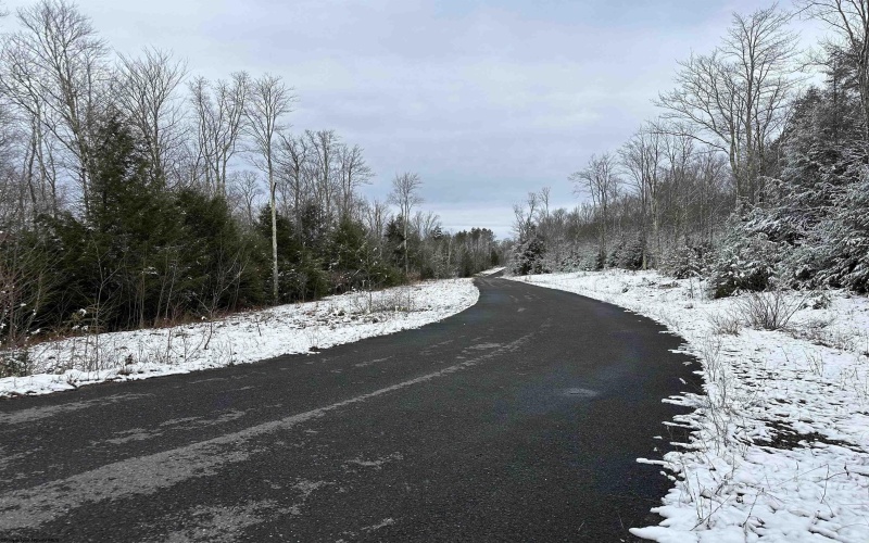 Lot 103 Canal Street, Davis, West Virginia 26260, ,Lots/land,For Sale,Canal,10158156